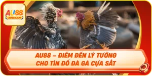 Au88 – điểm đến lý tưởng cho tín đồ đá gà cựa sắt