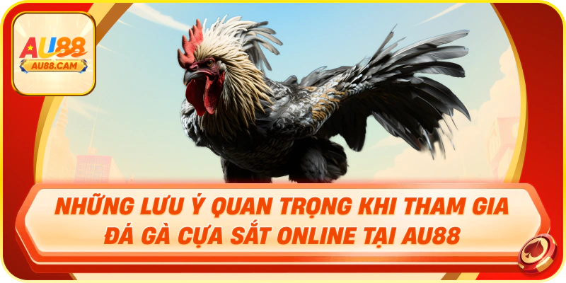 Những lưu ý quan trọng khi tham gia đá gà cựa sắt online tại au88